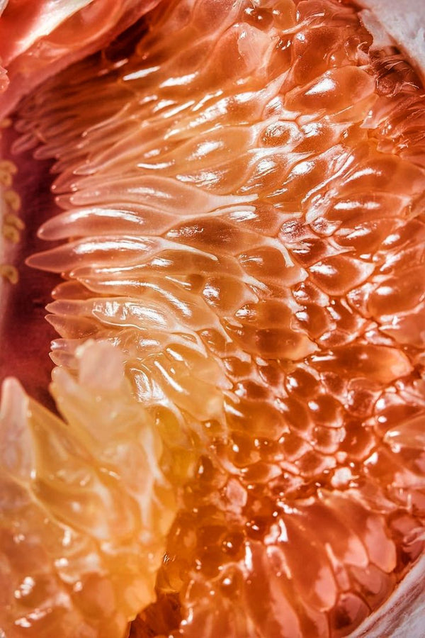Parfums Fruités