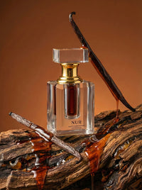 Oud Burni