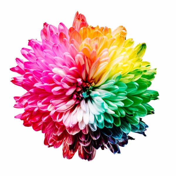 FLORAUX