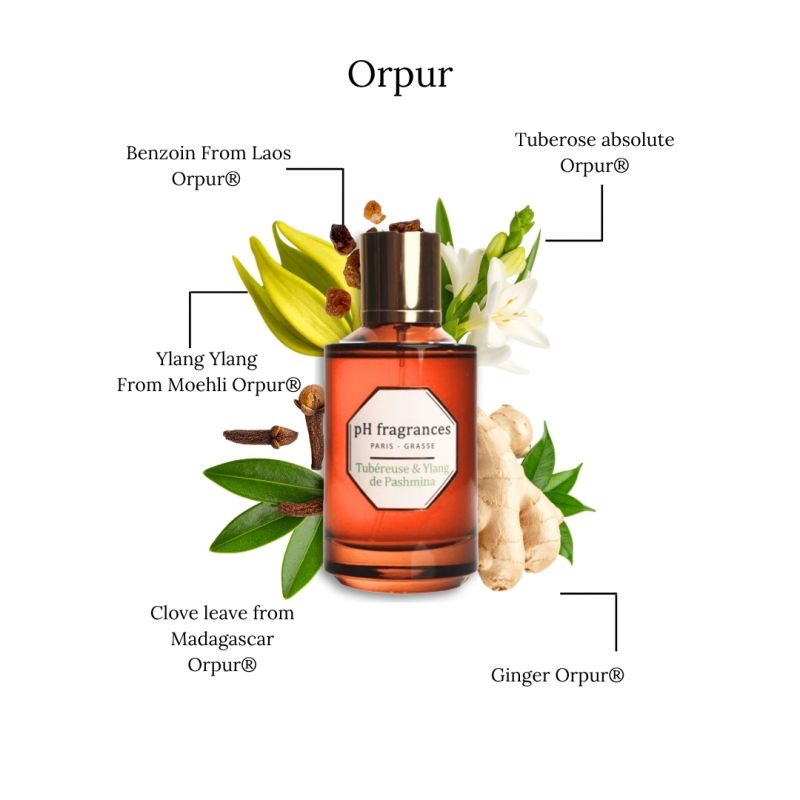 Tubéreuse & Ylang de Pashmina